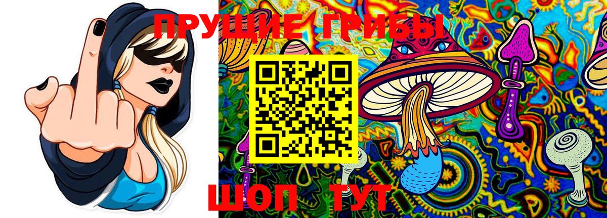 Псилоцибиновые грибы Psilocybine cubensis Ейск